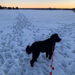 Meet your Posher, Andrew